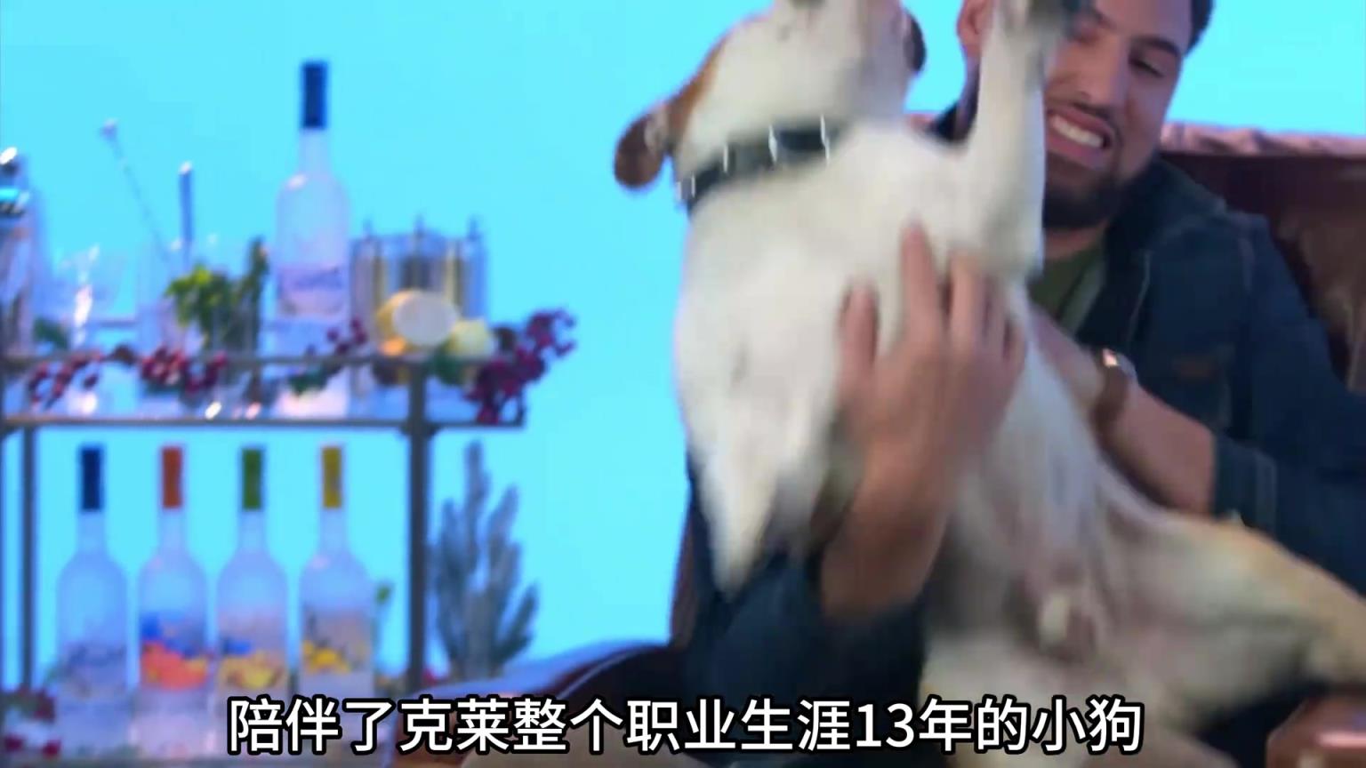陪伴克萊13年的小狗去世了，不敢相信克萊得多么傷心